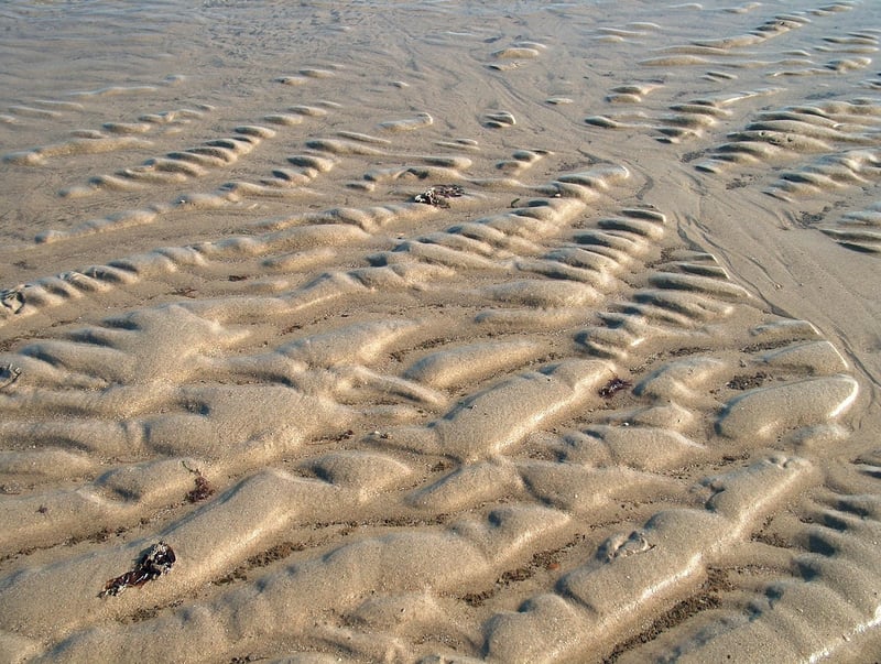 Zen-Inspired Living Room